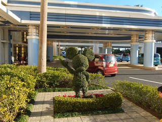 DSCF0133.JPG
